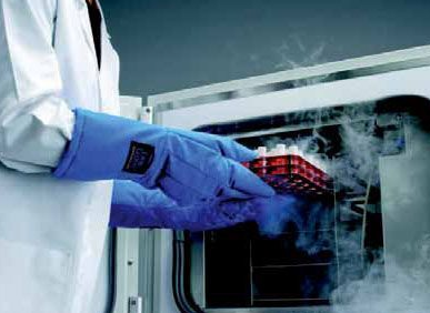 冻存细胞 冻存细胞