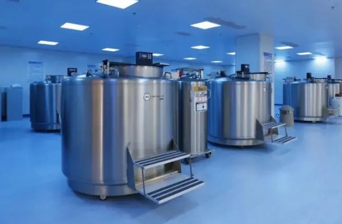 气相液氮罐 气相液氮罐