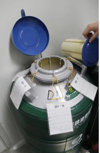 大口径液氮罐 大口径液氮罐