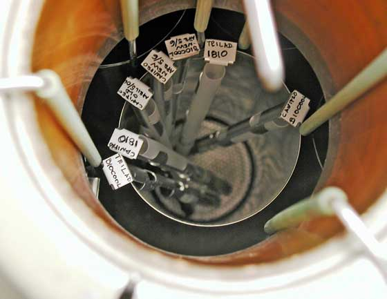 样品冻存 样品冻存